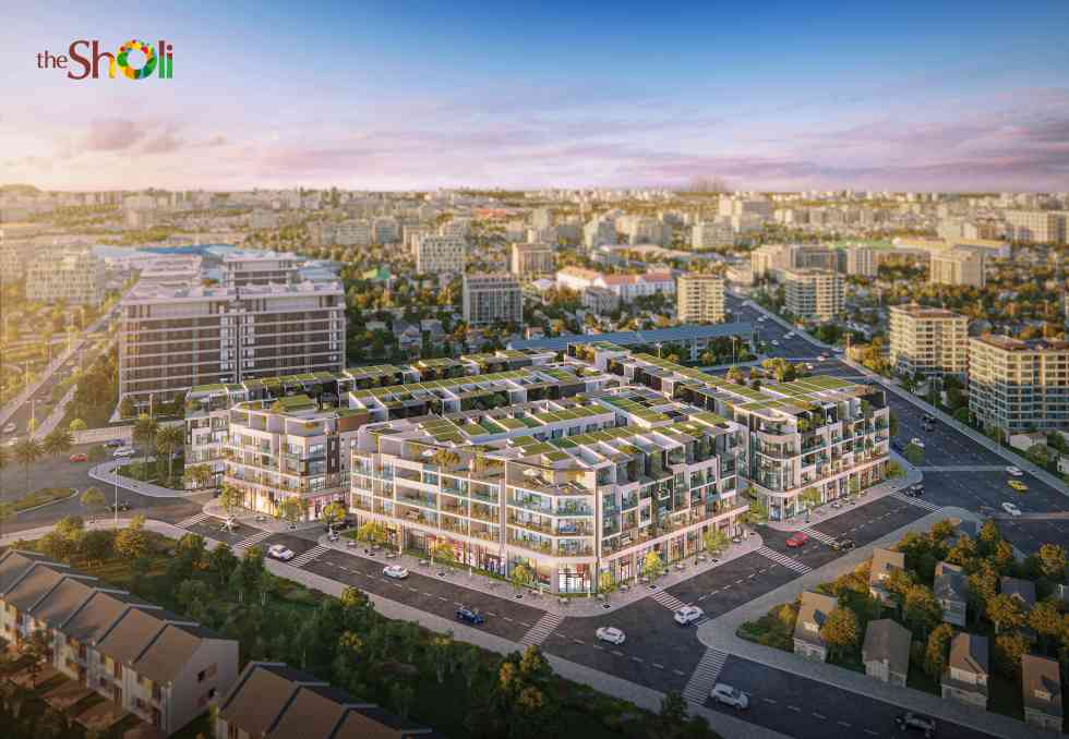 The Sholi Overview Day