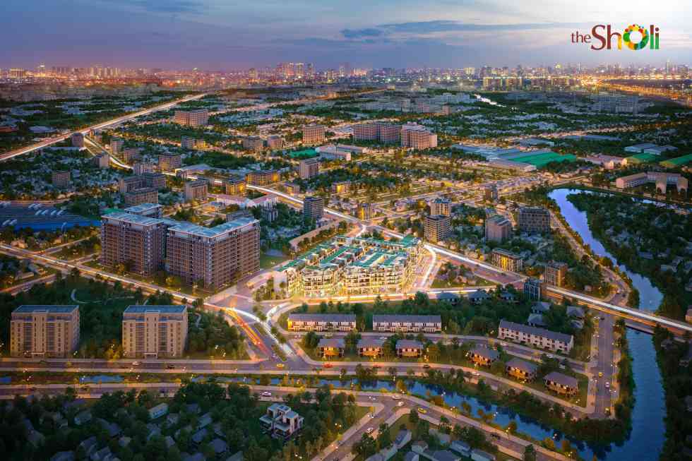 The Sholi Overview Night